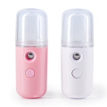 Wholesale Skin Care Mini Electric facial mist sprayer